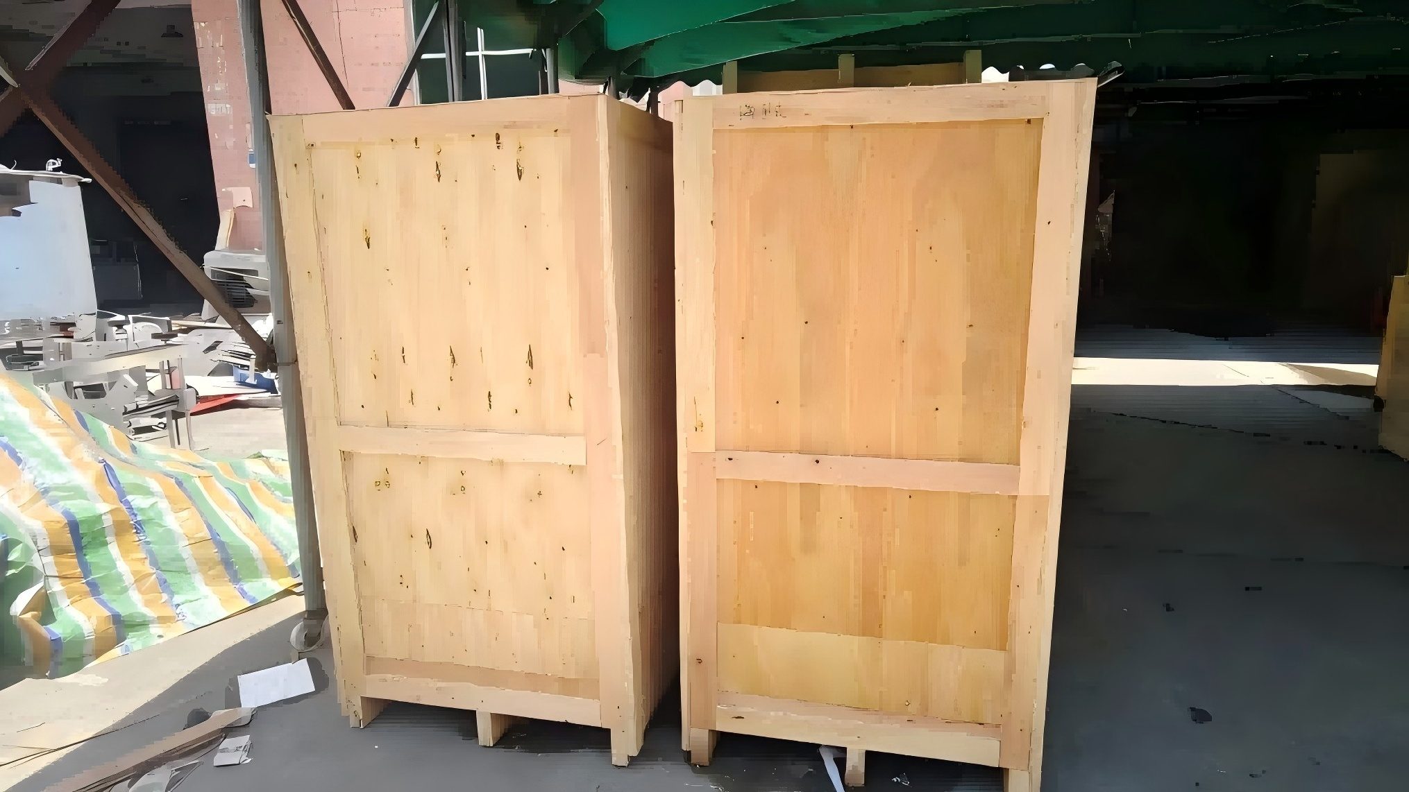 Custom Carton Labeling Machine for Dutch Distributor