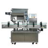 YCT-ZZ-01 Fully Automatic Single-Head Rotor Pump Filling Machine for Liquids, Semi-Fluids & Pastes